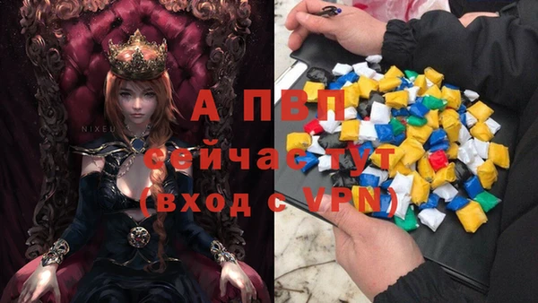винт Горно-Алтайск