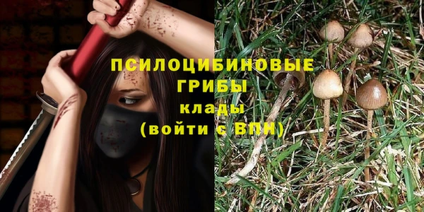 метамфетамин Гусев