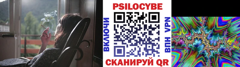 купить закладку  Зеленогорск  Псилоцибиновые грибы Cubensis 