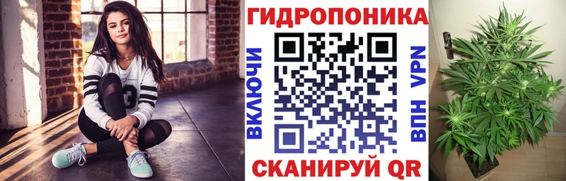 Бошки Шишки конопля  kraken зеркало  Зеленогорск  наркотики 